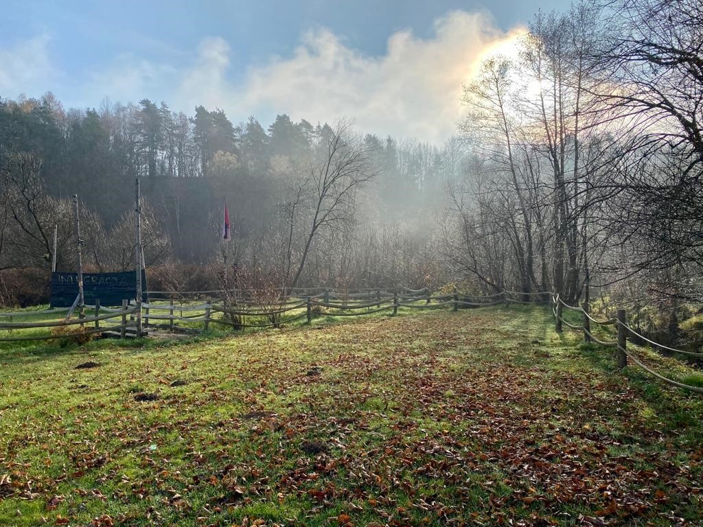 Impreza firmowa na Arenie Mocy