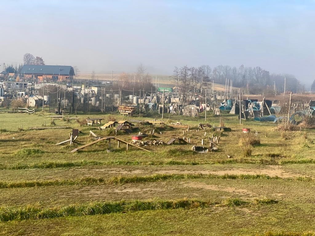 Imprezy integracyjne w Arenie Mocy - paintball zespołowy